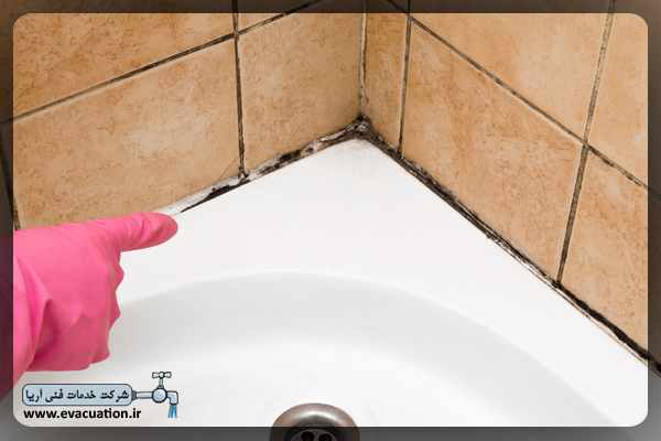 از بین بردن قارچ و کپک سرویس بهداشتی